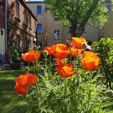 Charmantes Im Herzen Der Altstadt Am Gruenen Innenhof Lägenhet Cottbus