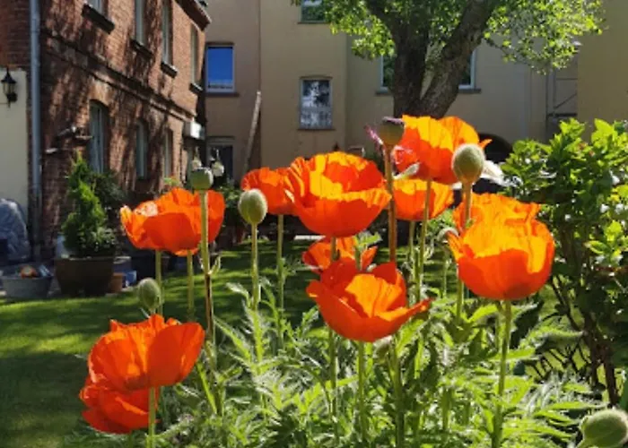 Im Gruenen Herzen Von Apartman Cottbus
